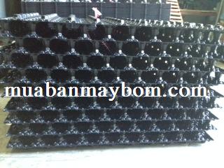 Gia the vi sinh dang to ong - call 0964 869 292